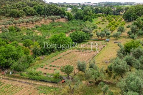 Gård i Borba, Evora, Borba - € 498 000 | Ref: ML459 - foto 12