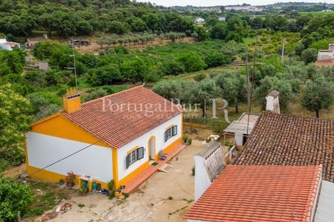Gård i Borba, Evora, Borba - € 498 000 | Ref: ML459 - foto 13