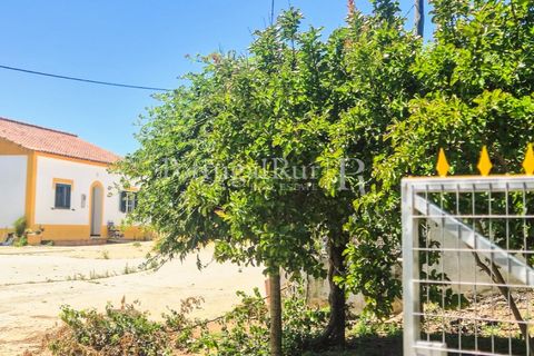 Gård i Borba, Evora, Borba - € 498 000 | Ref: ML459 - foto 14