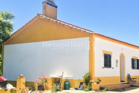 Gård i Borba, Evora, Borba - € 498 000 | Ref: ML459 - foto 15