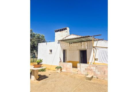 Gård i Borba, Evora, Borba - € 498 000 | Ref: ML459 - foto 16