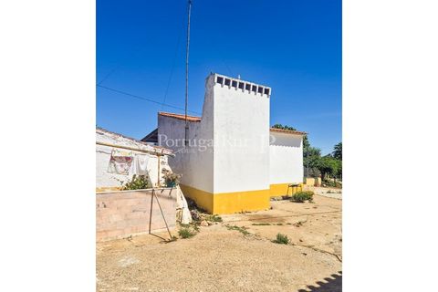 Gård i Borba, Evora, Borba - € 498 000 | Ref: ML459 - foto 24