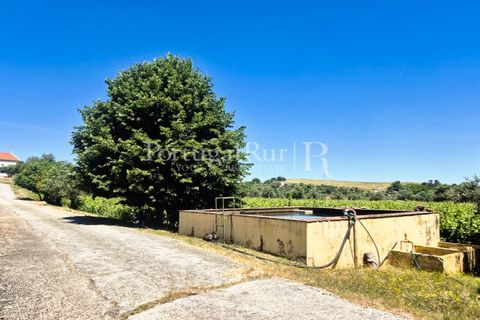 Gård i Borba, Evora, Borba - € 498 000 | Ref: ML459 - foto 28