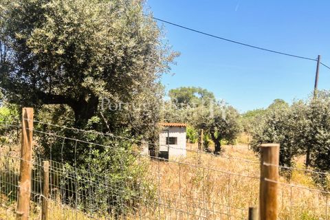 Gård i Borba, Evora, Borba - € 498 000 | Ref: ML459 - foto 30