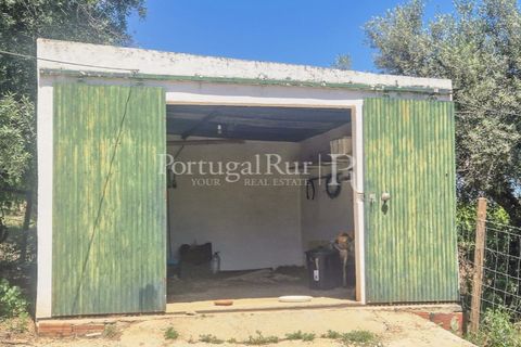 Gård i Borba, Evora, Borba - € 498 000 | Ref: ML459 - foto 34