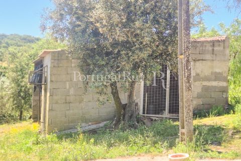 Gård i Borba, Evora, Borba - € 498 000 | Ref: ML459 - foto 35