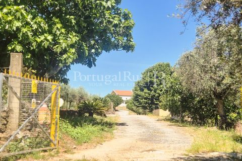 Gård i Borba, Evora, Borba - € 498 000 | Ref: ML459 - foto 36