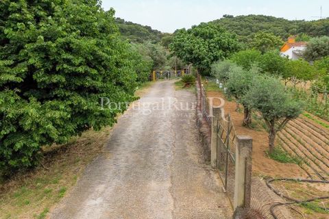 Gård i Borba, Evora, Borba - € 498 000 | Ref: ML459 - foto 39