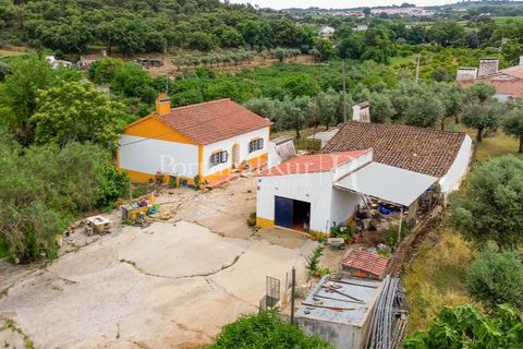 Gård i Borba, Evora, Borba - € 498 000 | Ref: ML459 - foto 40