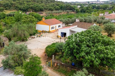 Gård i Borba, Evora, Borba - € 498 000 | Ref: ML459 - foto 41