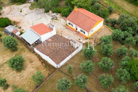 Gård i Borba, Evora, Borba - € 498 000 | Ref: ML459 - foto 42