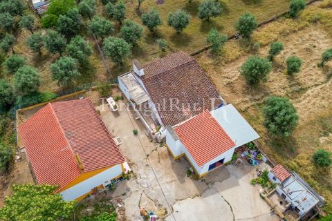 Gård i Borba, Evora, Borba - € 498 000 | Ref: ML459 - foto 43