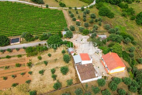 Gård i Borba, Evora, Borba - € 498 000 | Ref: ML459 - foto 44