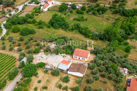 Gård i Borba, Evora, Borba - € 498 000 | Ref: ML459 - foto 45
