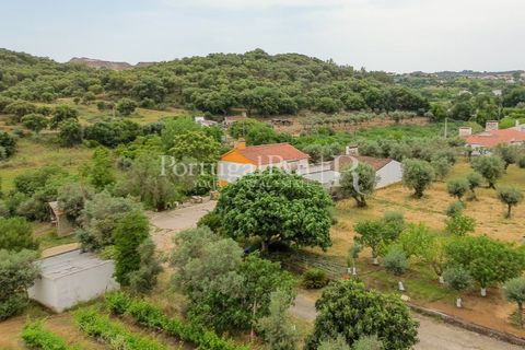 Gård i Borba, Evora, Borba - € 498 000 | Ref: ML459 - foto 50
