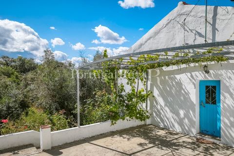 Granja a Crato, Portalegre, Crato - € 140.000 | Ref: MT916 - foto 4