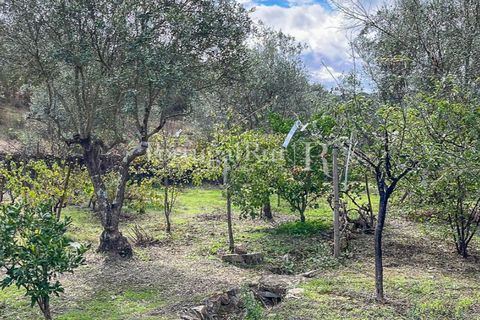 Granja a Crato, Portalegre, Crato - € 140.000 | Ref: MT916 - foto 15