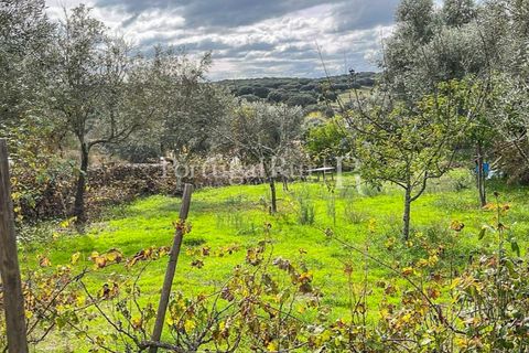 Granja a Crato, Portalegre, Crato - € 140.000 | Ref: MT916 - foto 16