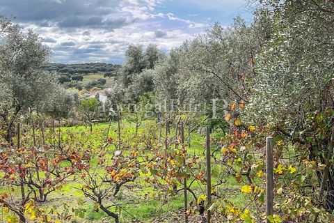 Granja a Crato, Portalegre, Crato - € 140.000 | Ref: MT916 - foto 18