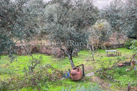 Granja a Crato, Portalegre, Crato - € 140.000 | Ref: MT916 - foto 19