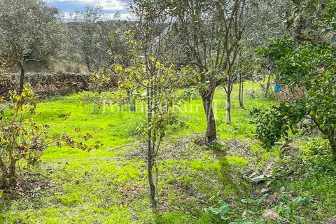 Granja a Crato, Portalegre, Crato - € 140.000 | Ref: MT916 - foto 20