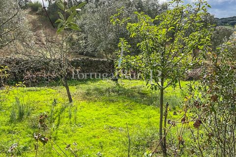 Granja a Crato, Portalegre, Crato - € 140.000 | Ref: MT916 - foto 21