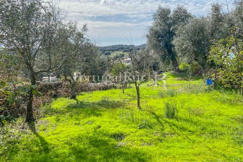 Granja a Crato, Portalegre, Crato - € 140.000 | Ref: MT916 - foto 22