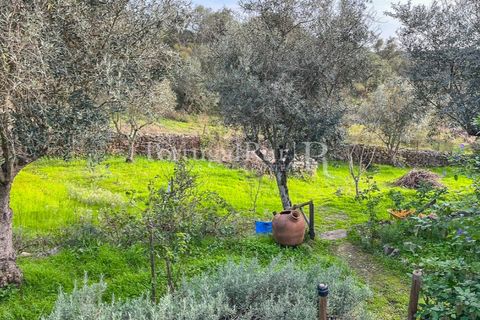 Granja a Crato, Portalegre, Crato - € 140.000 | Ref: MT916 - foto 23