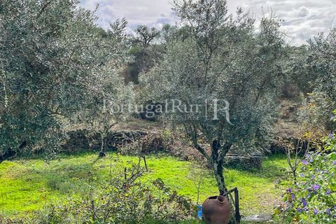 Granja a Crato, Portalegre, Crato - € 140.000 | Ref: MT916 - foto 25