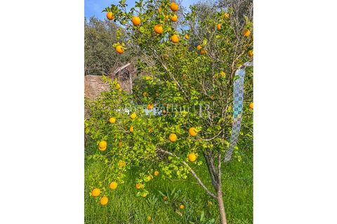 Granja a Crato, Portalegre, Crato - € 140.000 | Ref: MT916 - foto 28