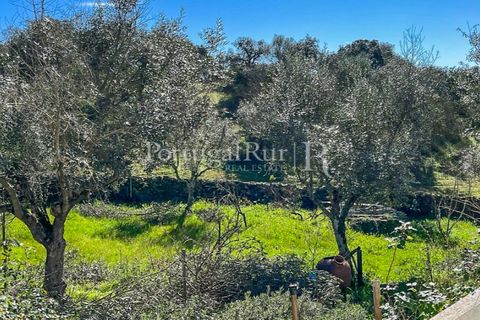 Granja a Crato, Portalegre, Crato - € 140.000 | Ref: MT916 - foto 29