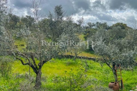 Granja a Crato, Portalegre, Crato - € 140.000 | Ref: MT916 - foto 30