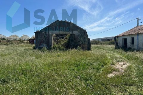 Helårsgrund i A dos Cunhados e Maceira, Lisbon, A dos Cunhados e Maceira - € 1.450.000 | Ref: TV/JP001-26 - foto 3