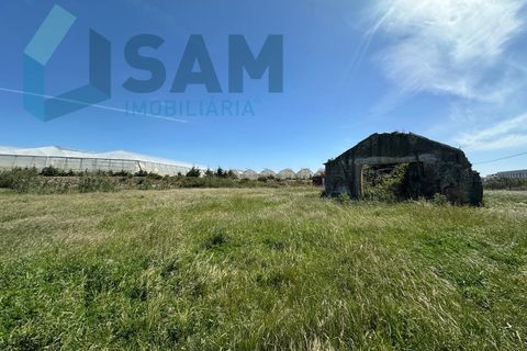 Helårsgrund i A dos Cunhados e Maceira, Lisbon, A dos Cunhados e Maceira - € 1.450.000 | Ref: TV/JP001-26 - foto 4