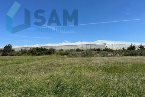Helårsgrund i A dos Cunhados e Maceira, Lisbon, A dos Cunhados e Maceira - € 1.450.000 | Ref: TV/JP001-26 - foto 9