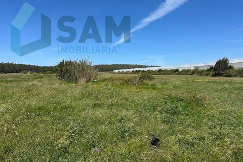 Helårsgrund i A dos Cunhados e Maceira, Lisbon, A dos Cunhados e Maceira - € 1.450.000 | Ref: TV/JP001-26 - foto 11