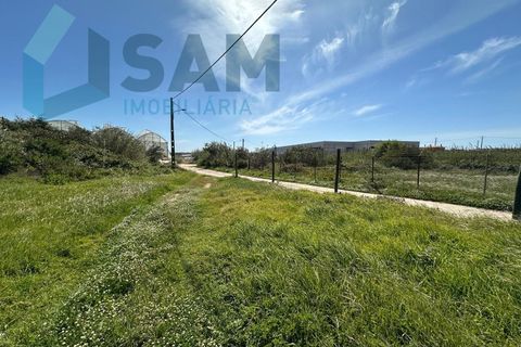 Helårsgrund i A dos Cunhados e Maceira, Lisbon, A dos Cunhados e Maceira - € 1.450.000 | Ref: TV/JP001-26 - foto 13
