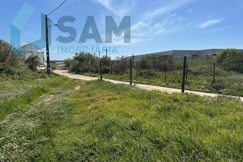 Helårsgrund i A dos Cunhados e Maceira, Lisbon, A dos Cunhados e Maceira - € 1.450.000 | Ref: TV/JP001-26 - foto 15