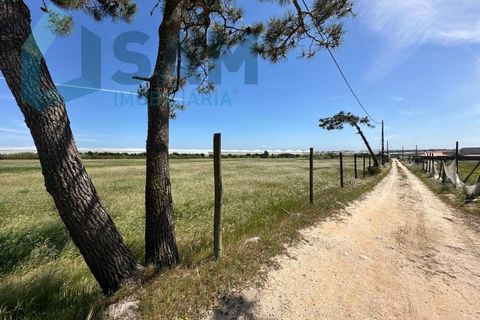 Helårsgrund i A dos Cunhados e Maceira, Lisbon, A dos Cunhados e Maceira - € 1.450.000 | Ref: TV/JP001-26 - foto 16