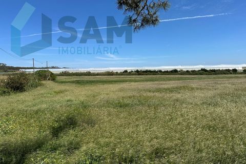 Helårsgrund i A dos Cunhados e Maceira, Lisbon, A dos Cunhados e Maceira - € 1.450.000 | Ref: TV/JP001-26 - foto 17