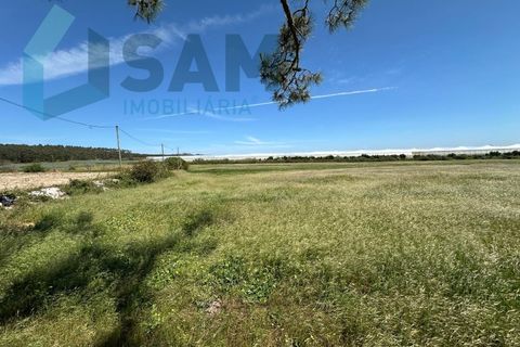 Helårsgrund i A dos Cunhados e Maceira, Lisbon, A dos Cunhados e Maceira - € 1.450.000 | Ref: TV/JP001-26 - foto 18