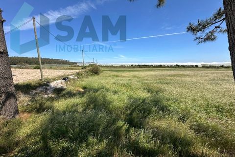 Helårsgrund i A dos Cunhados e Maceira, Lisbon, A dos Cunhados e Maceira - € 1.450.000 | Ref: TV/JP001-26 - foto 19