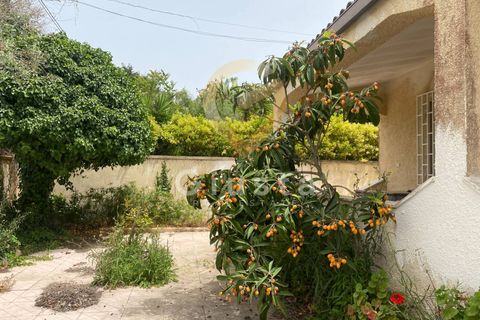 Villa i Torchiarolo, Brindisi, Torchiarolo - € 124 000 | Ref: 9090-91625 - foto 2