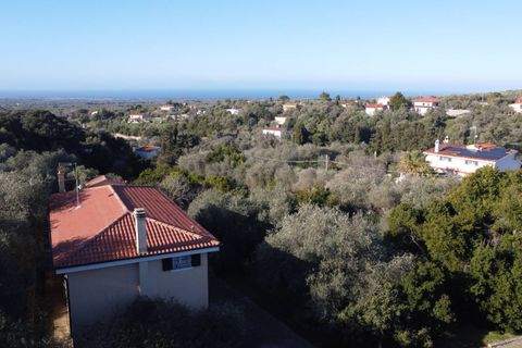 Villa i Sassari, Sassari, Sassari - € 420.000 | Ref: 13433 - foto 3