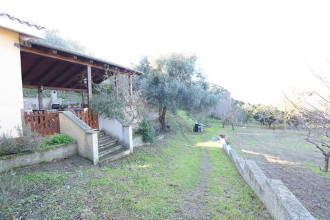 Villa i Sassari, Sassari, Sassari - € 420.000 | Ref: 13433 - foto 35