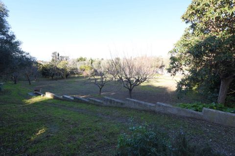 Villa i Sassari, Sassari, Sassari - € 420.000 | Ref: 13433 - foto 41