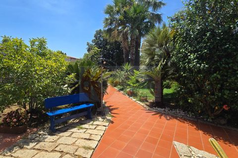 Villa i Iglesias, Sud Sardegna, Iglesias - € 799.000 | Ref: 14036 - foto 2