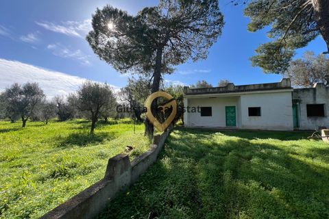 Villa a Mesagne, Brindisi, Mesagne - € 58.000 | Ref: 9090-91597 - foto 2