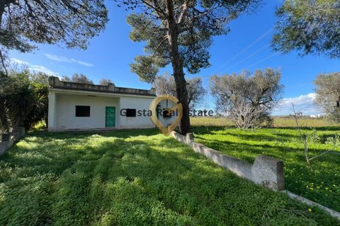 Villa a Mesagne, Brindisi, Mesagne - € 58.000 | Ref: 9090-91597 - foto 3