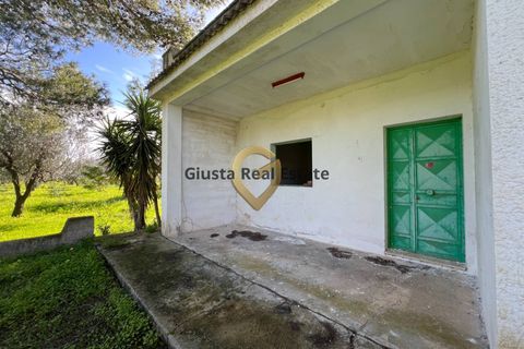 Villa a Mesagne, Brindisi, Mesagne - € 58.000 | Ref: 9090-91597 - foto 4